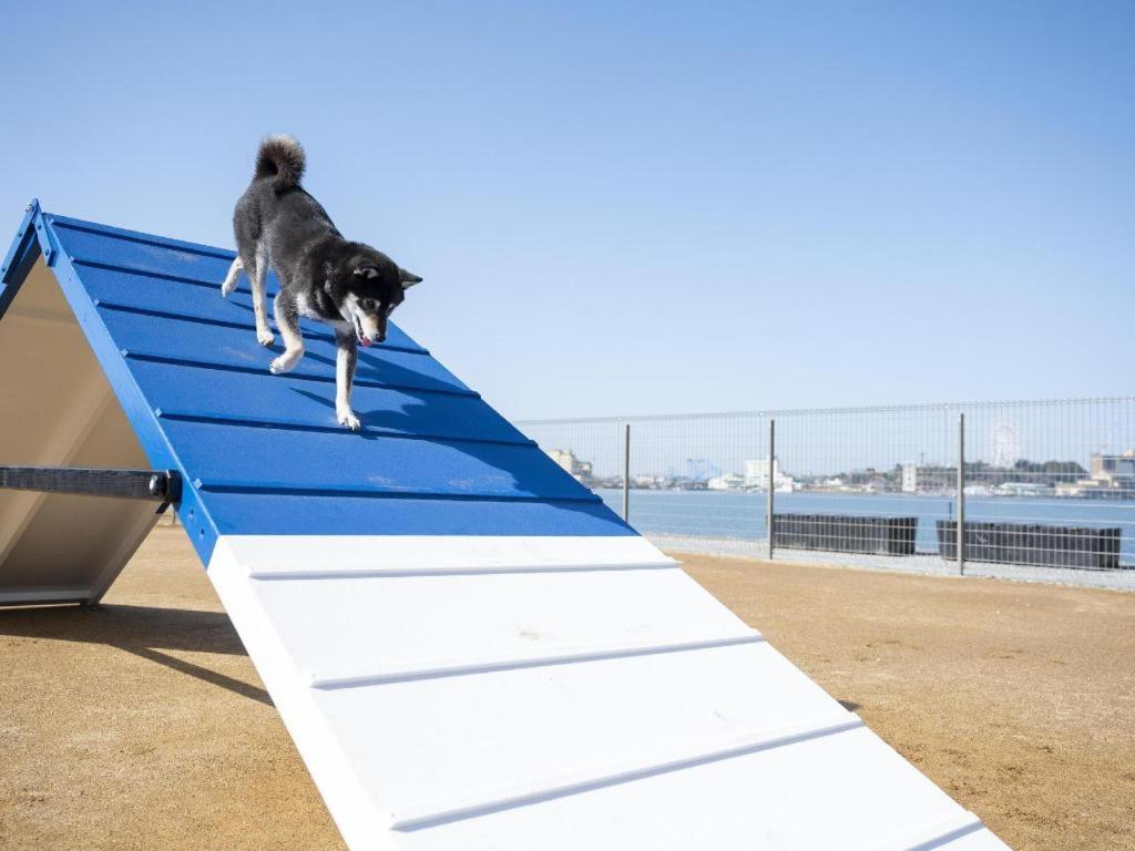 Izumigo Lake Hamanako Dog Paradise Hotel Hamamatsu Exterior photo