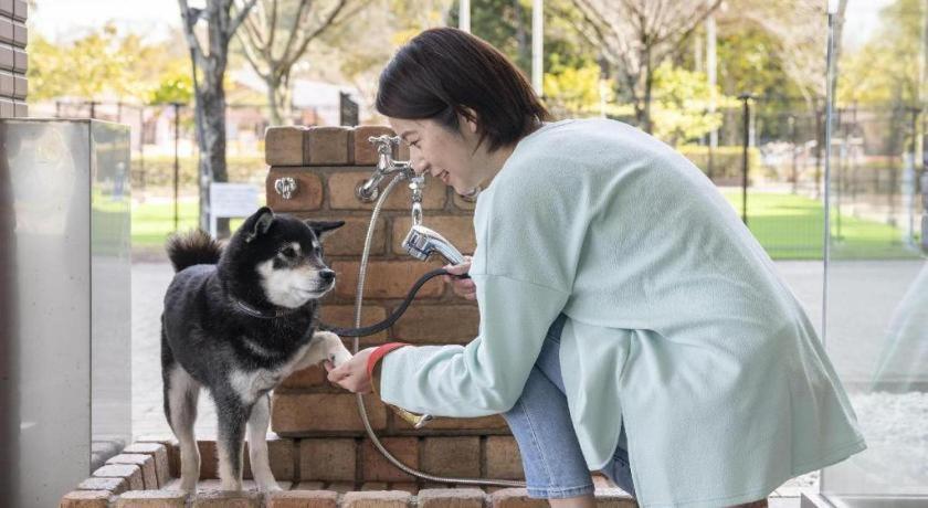 Izumigo Lake Hamanako Dog Paradise Hotel Hamamatsu Exterior photo